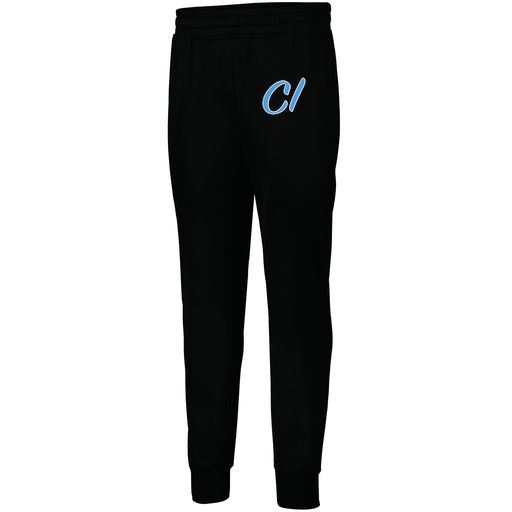 [5566.080.XS-LOGO3] Men's PERFORMANCE FLEECE JOGGER (Adult XS, Black, Logo 3)