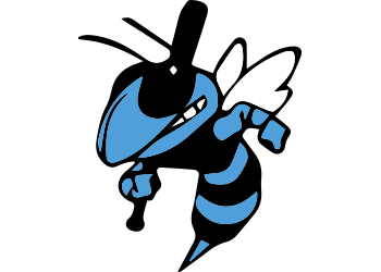 Central Iowa Stingers Softball